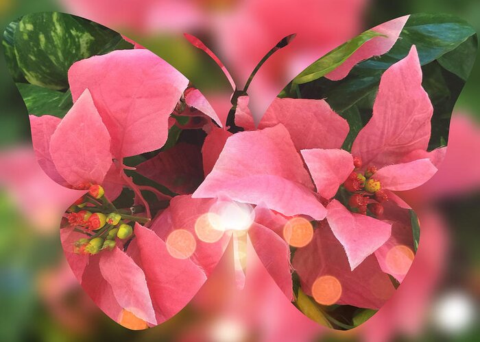 Butterfly Greeting Card featuring the digital art Pink Poinsettia Butterfly by Beverly Claire Kaiya