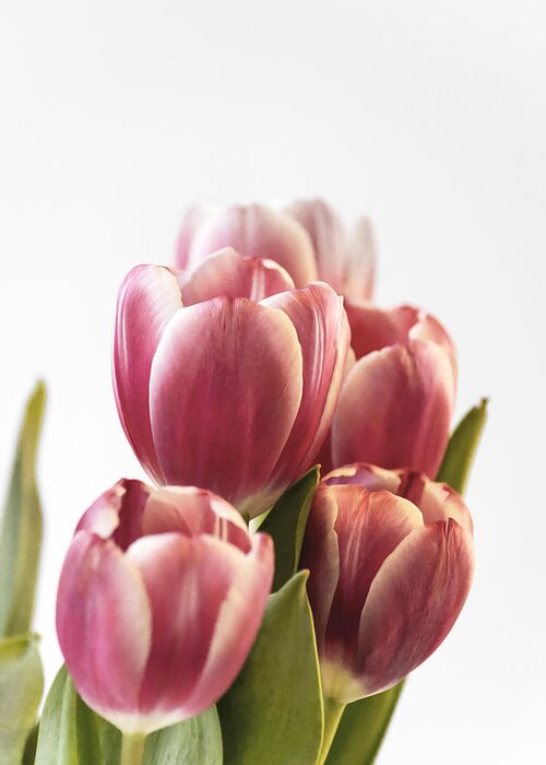 Tulip Greeting Card featuring the photograph Pink Tulips by Veli Bariskan