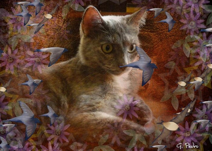 Cat Greeting Card featuring the photograph Pinky's Dream by George Pedro