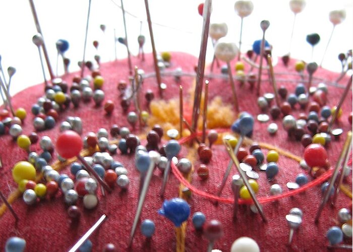 Pin Cushion Greeting Card featuring the photograph Pins and Needles by Tracy Male