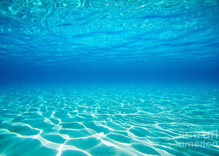 Plain Underwater Shot Greeting Card by M Swiet Productions