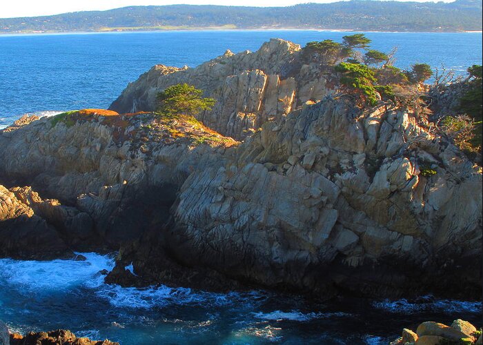 Point Lobos Greeting Card featuring the photograph Point Lobos Number 9 by Derek Dean