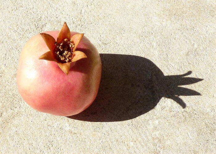 Pomegranate Greeting Card featuring the photograph Pomegranate and shadow by Rita Adams