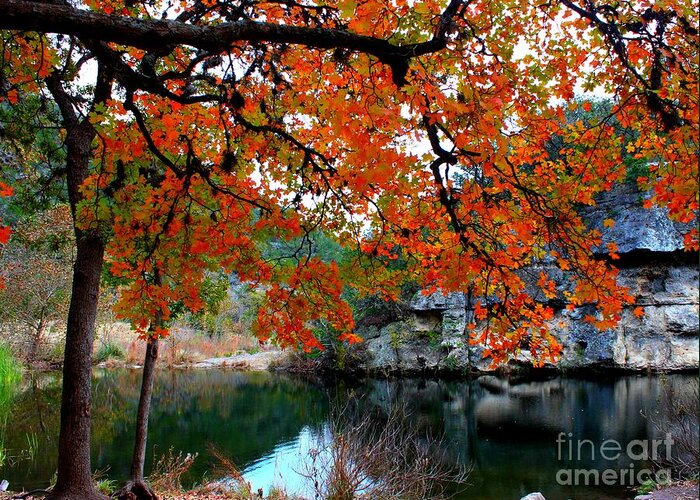 Pond Greeting Card featuring the photograph Fall at Lost Maples State Natural Area by Michael Tidwell