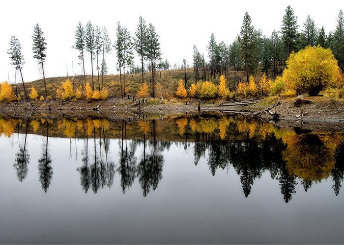 Reflections Greeting Card featuring the photograph Pond Reflections in Autumn by Allan Van Gasbeck