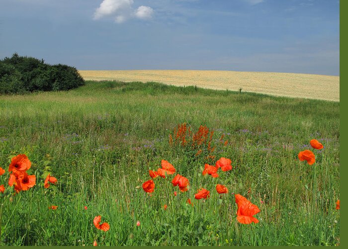 Photography Greeting Card featuring the photograph Poppies by Monika A Leon