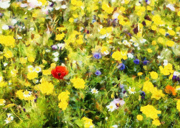 Poppy Greeting Card featuring the photograph Poppy in wildflowers by Nigel R Bell