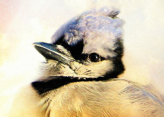 Blue Jay Portrait Greeting Card featuring the photograph Portrait Of A Blue Jay by Tina LeCour