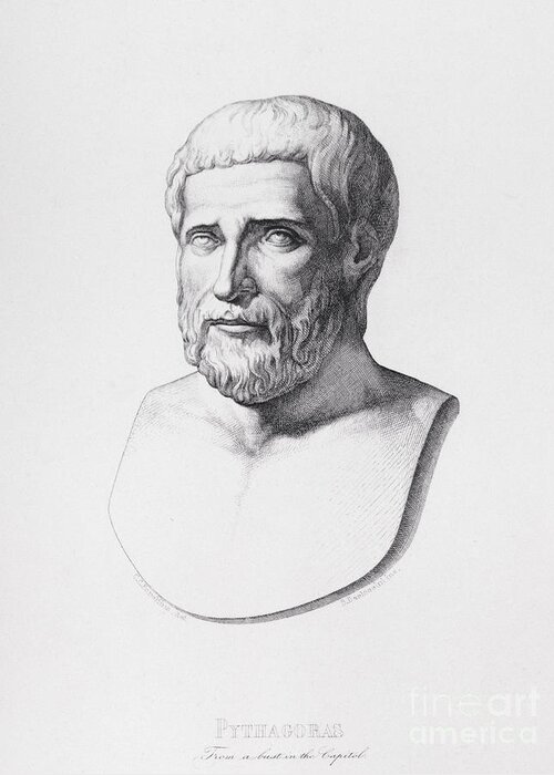 Male Greeting Card featuring the drawing Portrait of Pythagoras by CC Perkins