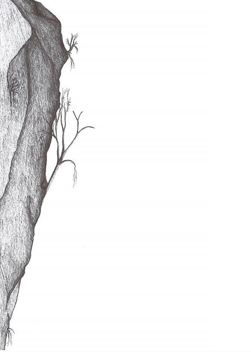 Tree Greeting Card featuring the drawing Potentially climbable by Giuseppe Epifani