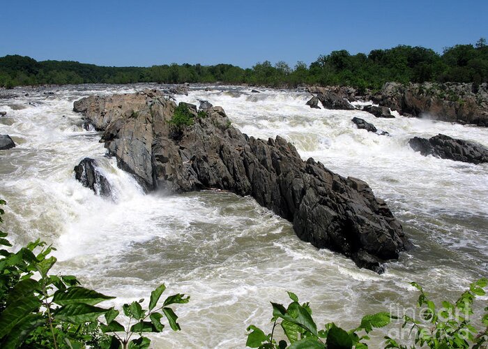 Great Falls Of The Potomac Greeting Card featuring the photograph Potomac Rapids by Olivier Le Queinec