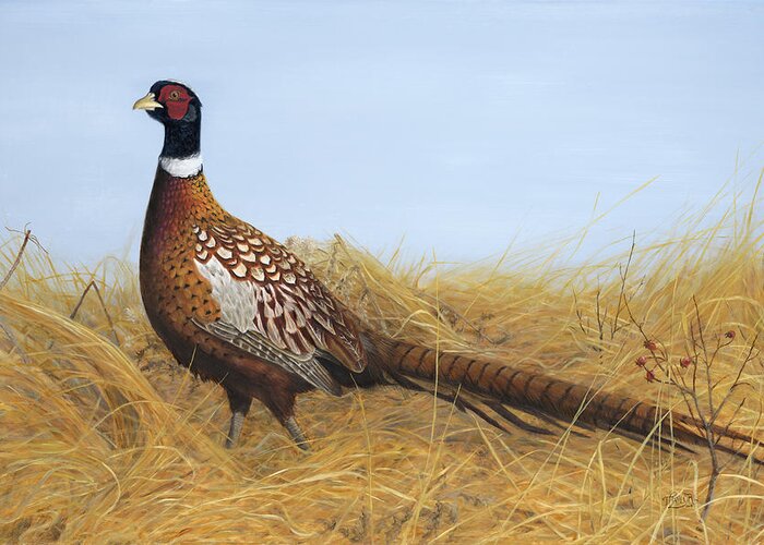Ring-necked Pheasant Greeting Card featuring the painting Prairie Splendor by Tammy Taylor