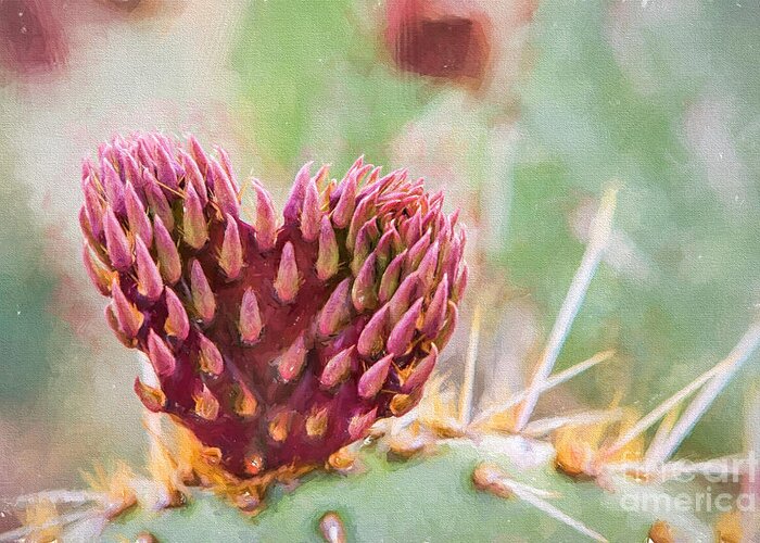 Heart Greeting Card featuring the photograph Prickly Heart by Marianne Jensen