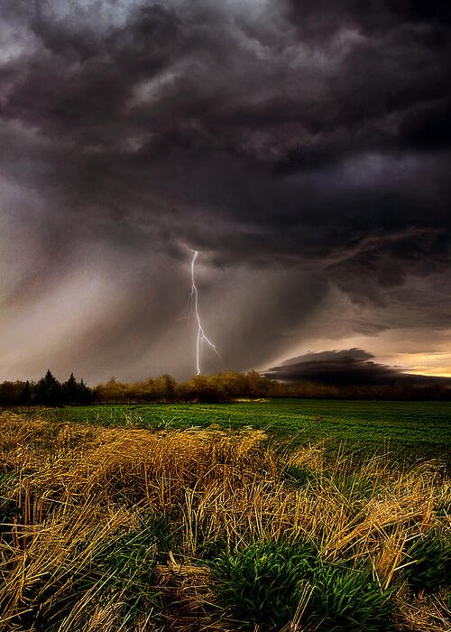 Storm Greeting Card featuring the photograph Profound by Phil Koch