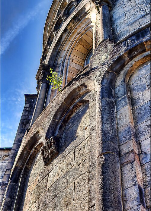 Domkyrkan Greeting Card featuring the photograph Proof That Nature Will Find A Way by EXparte SE