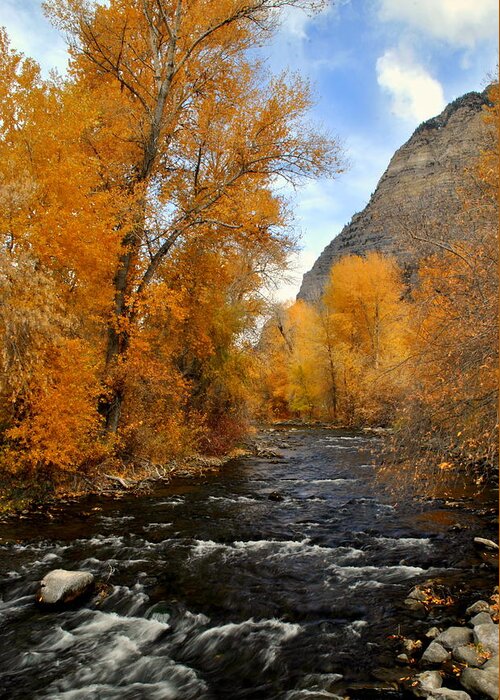 Fall Greeting Card featuring the photograph Provo River Utah by Nathan Abbott