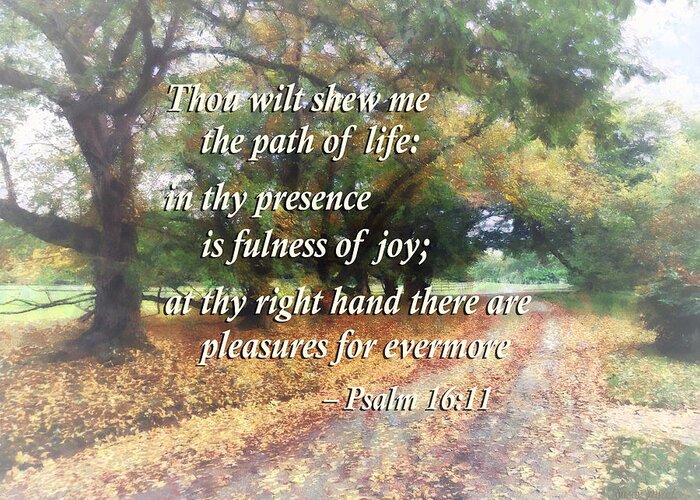 Religious Greeting Card featuring the photograph Psalm 16 11 Thou wilt shew me the path of life by Susan Savad