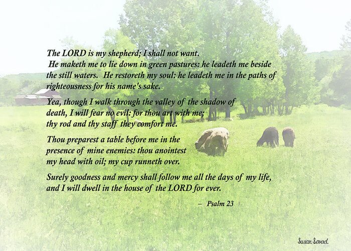 Religious Greeting Card featuring the photograph Psalm 23 The Lord Is My Shepherd by Susan Savad
