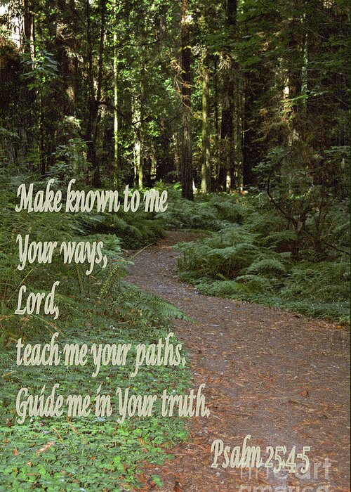 Psalm 25:4-5 Greeting Card featuring the photograph Psalm - Paths by Sharon Elliott