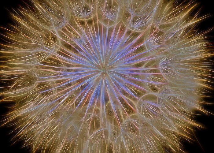 Dandelion Greeting Card featuring the photograph Psychedelic Dandelion Art by James BO Insogna