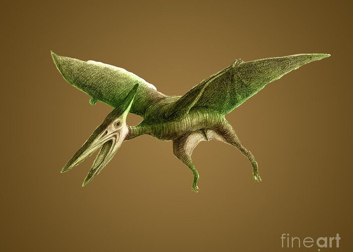 Explore the Best Pterodactyloidea Art