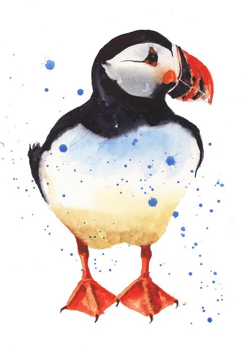Puffin Greeting Card featuring the painting Puffin Watercolor by Alison Fennell