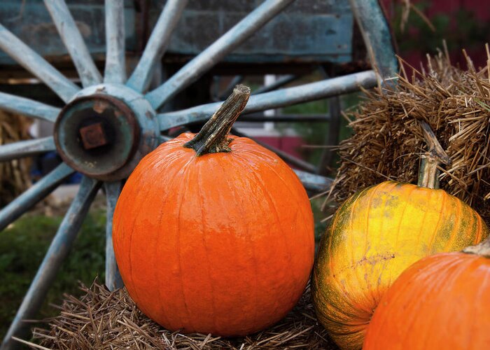 New England Greeting Card featuring the photograph Pumpkins And Wagon Wheel Stowe by Jenna Szerlag