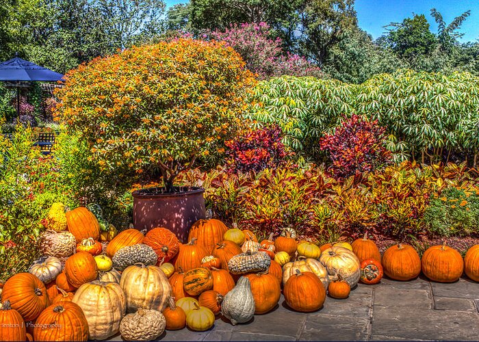 Hdr Greeting Card featuring the photograph Pumpkins at the Garden by Ross Henton
