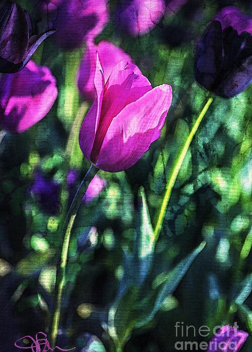 Tulips Greeting Card featuring the painting Purple and PInk Tulip Companions by Jani Bryson