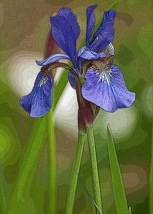 Bearded Iris Greeting Card featuring the photograph Purple Bearded Iris Watercolor with Pen by Brenda Jacobs