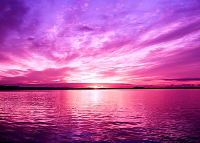 Sunrise Greeting Card featuring the photograph Purple Candy .Sunrise by Geoff Childs