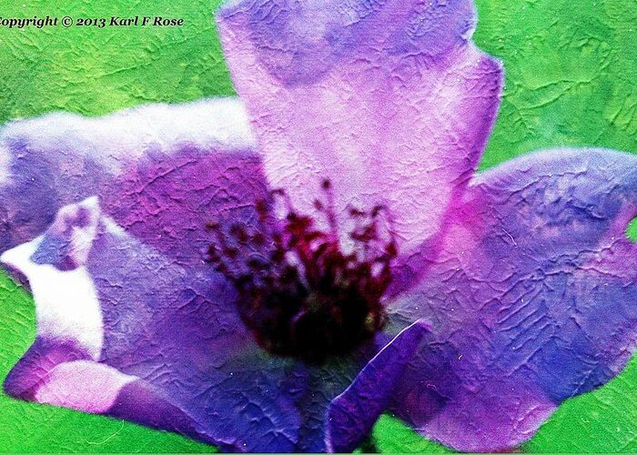 Colors Greeting Card featuring the photograph Purple flower by Karl Rose