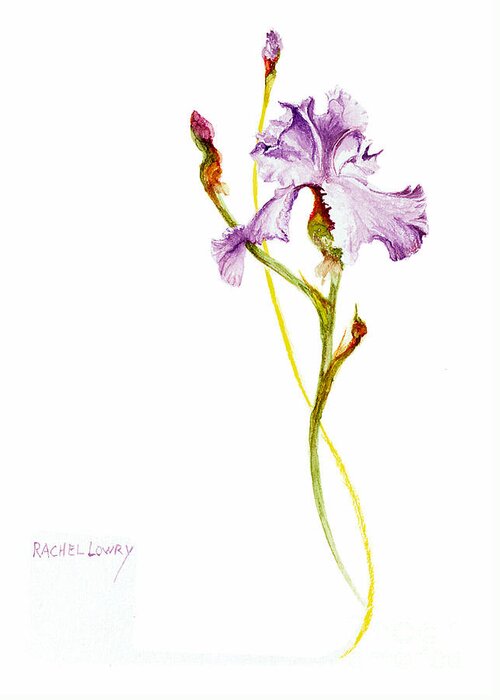 Iris Greeting Card featuring the painting Purple Iris by Rachel Lowry
