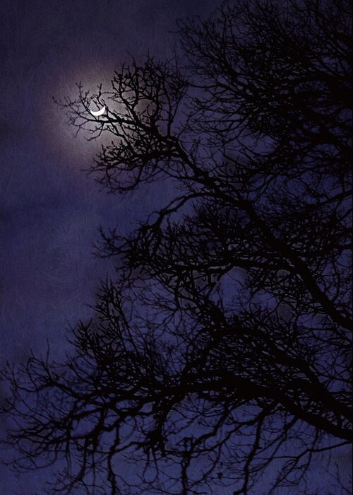 Moon Greeting Card featuring the photograph Purple Nights by Melanie Lankford Photography