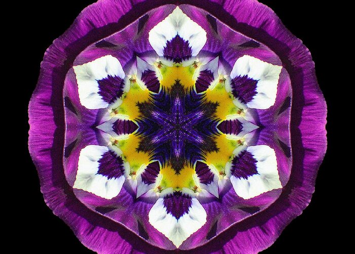 Flower Greeting Card featuring the photograph Purple Pansy II Flower Mandala by David J Bookbinder