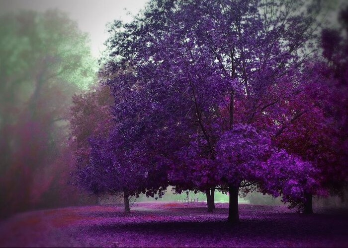 Purple Trees Greeting Card featuring the photograph Purple Trees by Marilyn MacCrakin