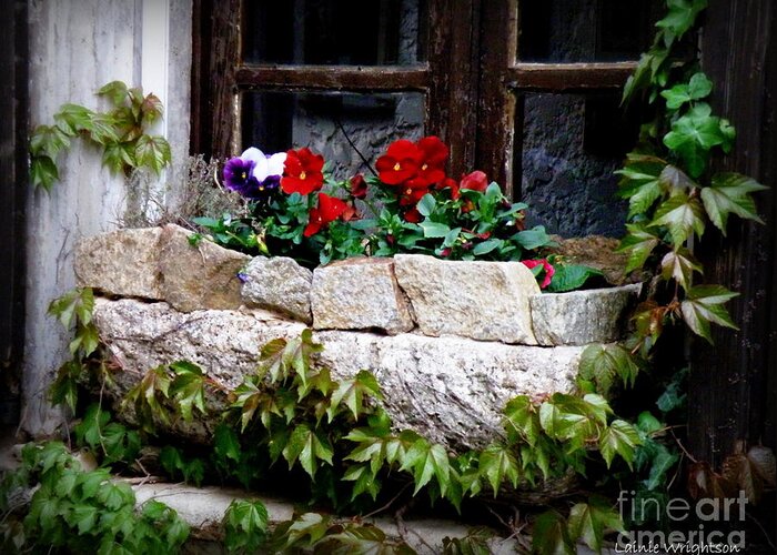 Floral Greeting Card featuring the photograph Quaint Stone Planter by Lainie Wrightson