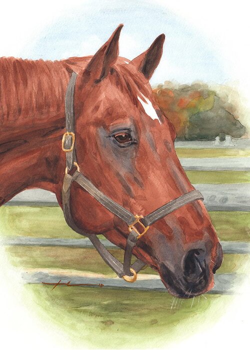 <a Href=http://miketheuer.com Target =_blank>www.miketheuer.com</a> Quarter Horse Watercolor Portrait Greeting Card featuring the drawing Quarter Horse Watercolor Portrait by Mike Theuer