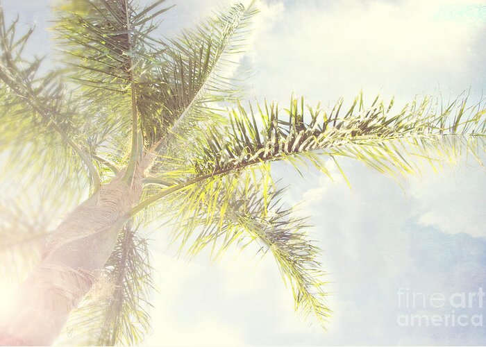 Palm Greeting Card featuring the photograph Queen palm by Cindy Garber Iverson