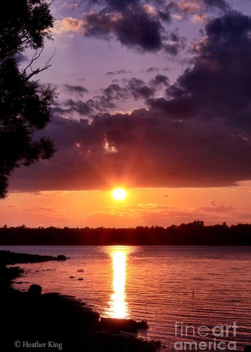 Ottawa Greeting Card featuring the photograph Quiet by Heather King