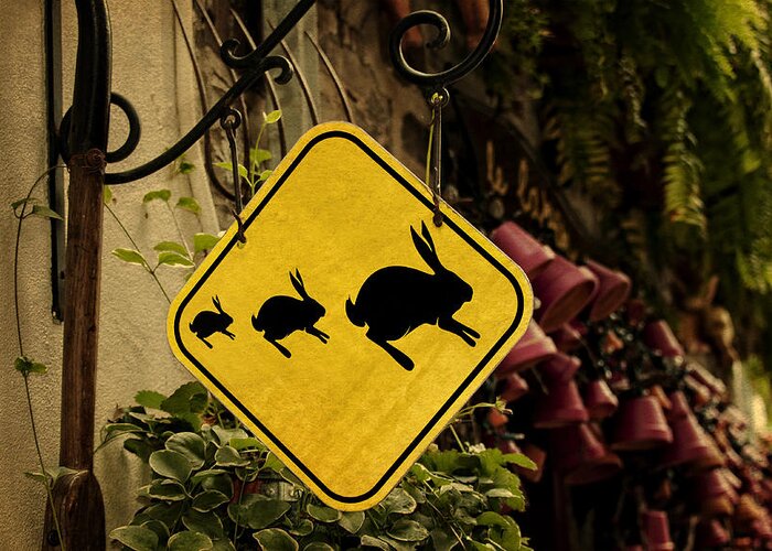 Rabbit Greeting Card featuring the photograph Rabbit Crossing by Phil Cardamone