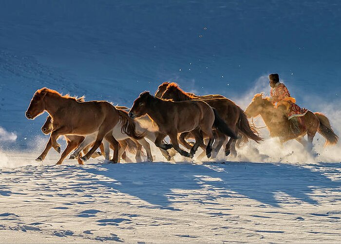 Animals Greeting Card featuring the photograph Racing In Snow by Hua Zhu