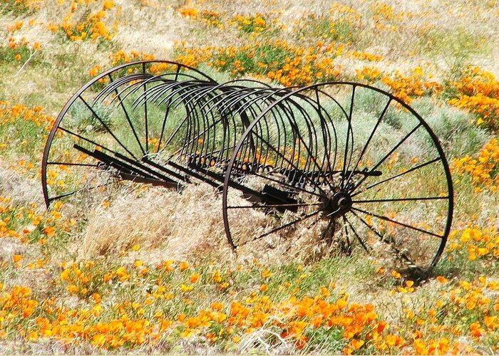 Hay Greeting Card featuring the photograph Rack Among the Poppies by Patricia Quandel