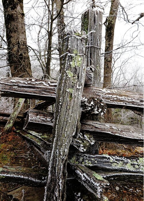 Landscape Greeting Card featuring the photograph Rail Fence With Ice by Daniel Reed