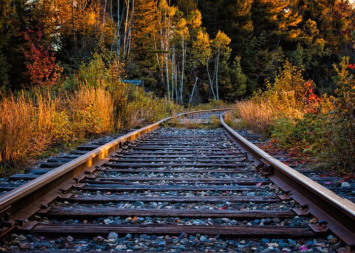 Autumn Greeting Card featuring the photograph Rails Pondicherry NWR by Jeff Sinon