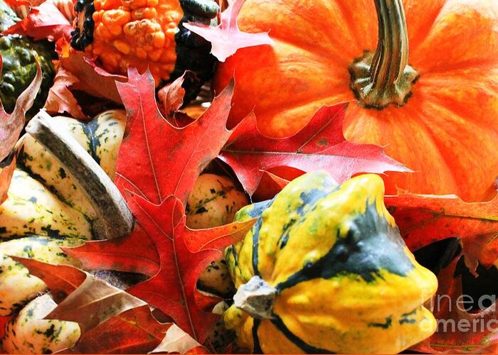 Pumpkin Greeting Card featuring the photograph Rainbow Of Autumn Colors by Judy Palkimas