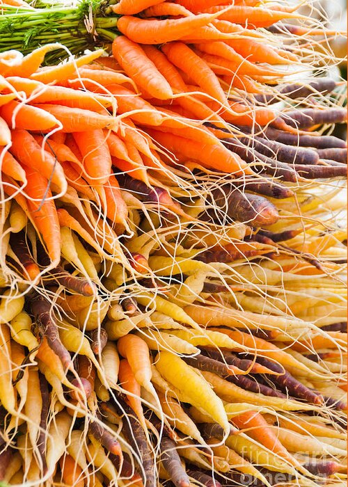 Carrots Greeting Card featuring the photograph Rainbow Roots by Cheryl Baxter