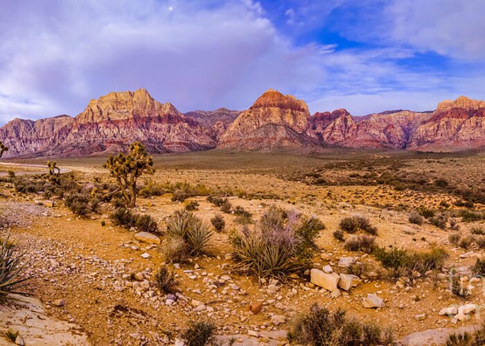 Red Rock Greeting Card featuring the photograph Rainbow Wilderness Panorama at Red Rock Canyon before Sunrise - Las Vegas Nevada by Silvio Ligutti