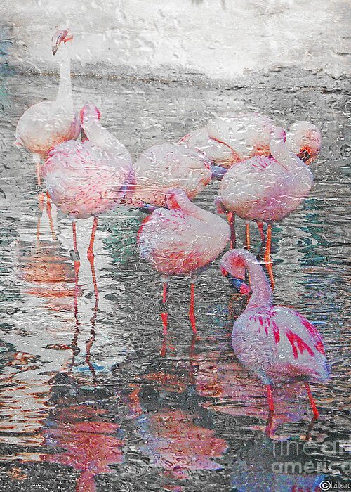 Water Greeting Card featuring the photograph Rainy Day Flamingos by Lizi Beard-Ward