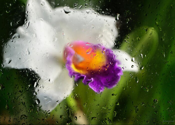 Cattleya Greeting Card featuring the photograph Rainy Day Orchid - Botanical Art By Sharon Cummings by Sharon Cummings